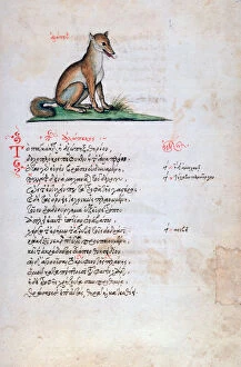 Byzantine Gallery: The Fox, 1564