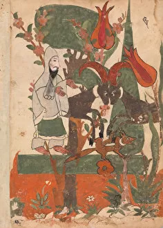 The Fox and the Battling Rams Observed by the Ascetic, Folio from a Kalila wa Dimna