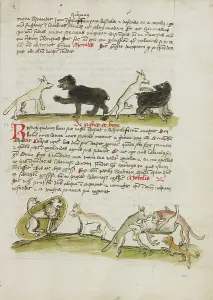 Biting Prints: A Fox and a Bear: A Fox Attacking a Bear: A Lion in its Den