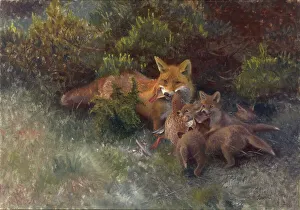 Undergrowth Prints: Fox with Cubs, 1912. Creator: Bruno Liljefors