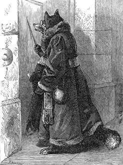 fox-disguised-physician-