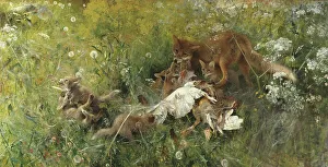 Bruno Anders Liljefors Prints: A Fox Family, 1886. Creator: Bruno Liljefors