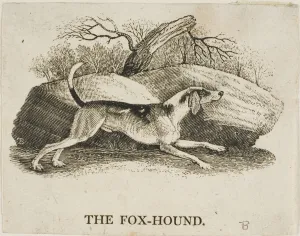 Foxhound Prints: Fox Hound, n. d. Creator: Thomas Bewick