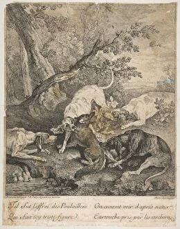 Foxhounds Collection: Fox Hunt, 1736. Creator: Jean-Baptiste Oudry