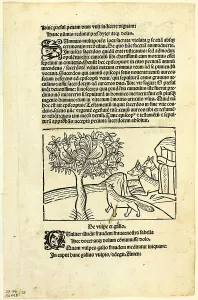 Letterpress Prints: The Fox and the Rooster from Fabulae et Vita (Fables and Life)