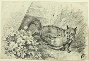Stealing Prints: Fox Stealing a Cock, n.d. Creator: Samuel Howett