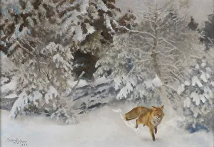 Bruno Anders Liljefors Prints: Fox in Winter Landscape, 1938. Creator: Bruno Liljefors