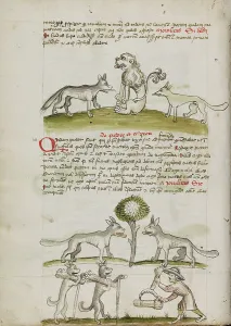 Canine Prints: Fox and Wolf before a Lion: Two Wolves under a Tree Dragging Bales
