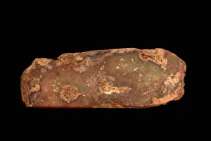 Ceremonial Object Prints: Fragment of a ceremonial axe, Western Zhou dynasty, ca. 1050-771 BCE. Creator: Unknown