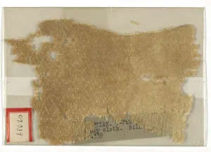 Fragment, Egypt, Arab period (641-969) / Fatimid period (969-1171