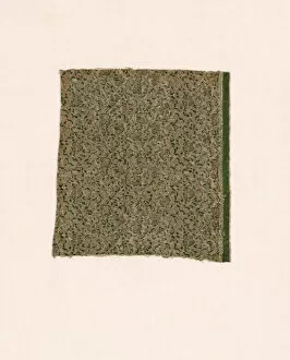 Brocaded Silk Gallery: Fragment, France, 1701 / 25. Creator: Unknown