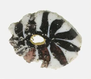 Fragment of an Inlay Depicting a Rosette, 1st century BCE-1st century CE