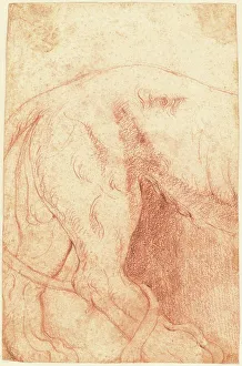 Fragment of a Lion Bas-Relief (verso), 1750s. Creator: Giovanni Battista Piranesi