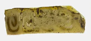 Fragment of a Plate, 1st century BCE-1st century CE. Creator: Unknown