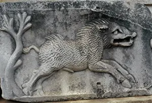 Relief Prints: Fragment of a Roman relief with depiction of a wild boar