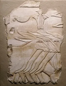 Fragment of a Tomb Wall Depicting Donkeys, Egypt, Old Kingdom
