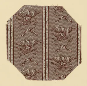 Centenary Gallery: Fragment, United States, 19th century. Creator: Unknown