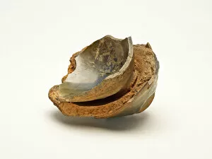 Song Dynasty Gallery: Fragments of Tea Bowls, fused to their saggar, Song dynasty (960-1279), 12th / 13th century