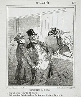 Periodical Prints: Français : Exposition des chiens: Comme il me regarde ce chien