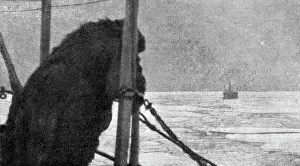 Thomas Albert Prints: France et Russie; Au large d'Arkhangelsk: par 10o au-dessous de zero
