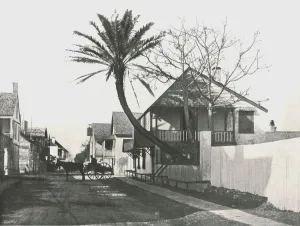 St Augustine Gallery: Francis Street, St Augustine, USA, 1895. Creator: Unknown