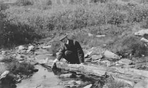 Creek Prints: Frank G. Carpenter, between c1900 and 1916. Creator: Unknown