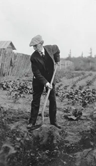 Hoeing Prints: Frank G. Carpenter in a garden, between c1900 and 1916. Creator: Unknown