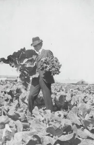 Carpenter Frank G Prints: Frank G. Carpenter on Mr. Rickert's farm, between c1900 and 1916. Creator: Unknown