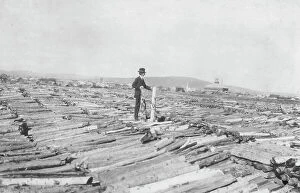 Journalist Collection: Frank G. Carpenter on woodpile, between c1900 and 1916. Creator: Unknown