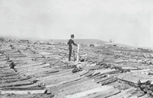 Woodpile Prints: Frank G. Carpenter on woodpile, between c1900 and 1916. Creator: Unknown