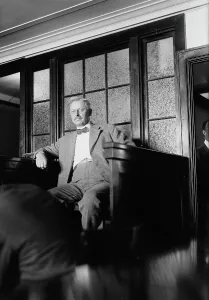 Vice President Prints: Frank Hedley, between c1915 and c1920. Creator: Bain News Service