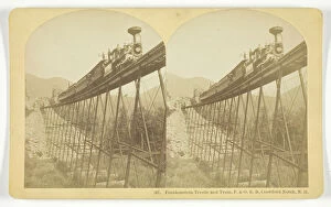 Albumen Print Stereo Collection: Frankenstein Trestle and Train, P. & O. R.R. Crawford Notch, N.H. late 19th century