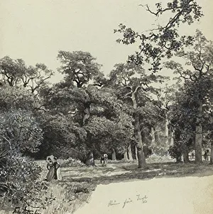 Strolling Prints: Frauental, 1893. Creator: Fritz Stoltenberg