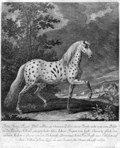 Baroness Wentworth Gallery: A freak in colour, Germany, 1722 (1938)