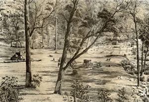 Blair Gallery: Free selectors hut, Australia, 1879. Artist: McFarlane and Erskine