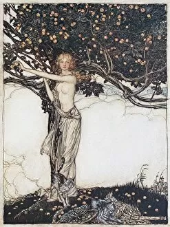 The Valkyrie Gallery: Freia, the fair one. Illustration for The Rhinegold and The Valkyrie by Richard Wagner, 1910