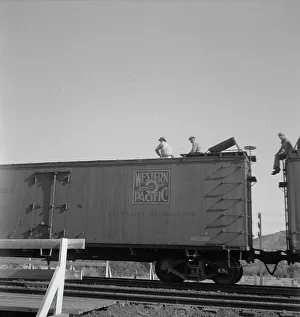 Freight Wagon Prints: Freight moving east near Odessa, Texas, 1937. Creator: Dorothea Lange