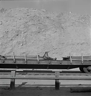 Freight train going east near Yuma, Arizona, 1937. Creator: Dorothea Lange
