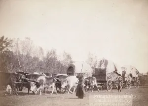 Freight Prints: Freighting in the Black Hills, between 1887 and 1892. Creator: John C. H. Grabill