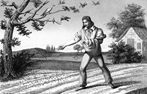 Seed Prints: French agriculture; sowing seed broadcast, late 18th century