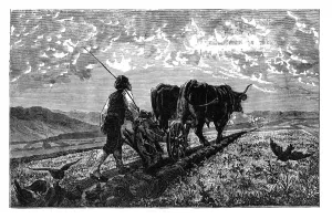 Agriculturalist Gallery: A French agriculturist, c1890