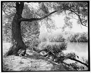 W H Jackson Co Prints: Across the French Broad near Hot Springs, N.C. (1902?). Creator: William H. Jackson