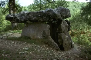 Portal Grave Prints: French Dolmen