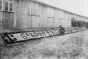 Zossen Brandenburg German Prints: French gardener, Prison camp, Zossen, 24 Feb 1915. Creator: Bain News Service
