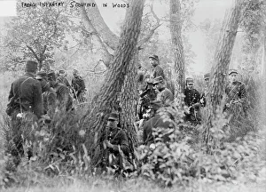 Scout Prints: French Infantry scouting in woods, between c1914 and c1915. Creator: Bain News Service