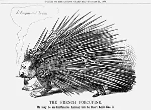 Porcupine Prints: The French Porcupine, 1859