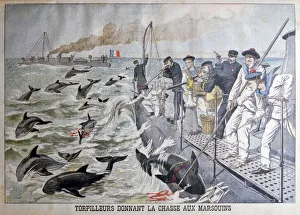 Harpoon Prints: French torpedo boats hunting porpoises, 1903