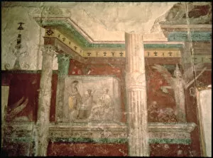 Images Dated 18th June 2013: Frescoes in the House of Livia on the Palatine