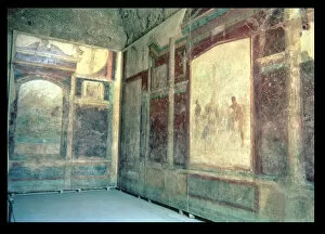 Images Dated 18th June 2013: Frescoes in the House of Livia Tablinum in the Palatine