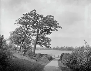 Fresh pond, Cambridge, Mass. between 1900 and 1920. Creator: Unknown